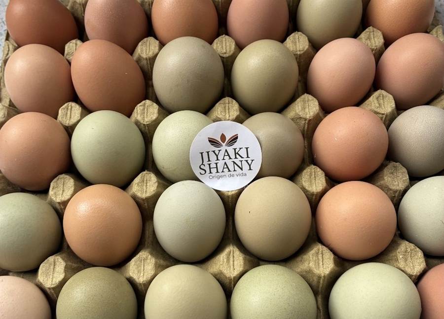 Huevos en bandeja 2
